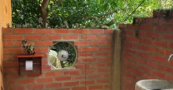 Cabaña privada Mariposario Andoke