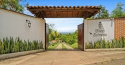 Finca Palmeras La Buitrera