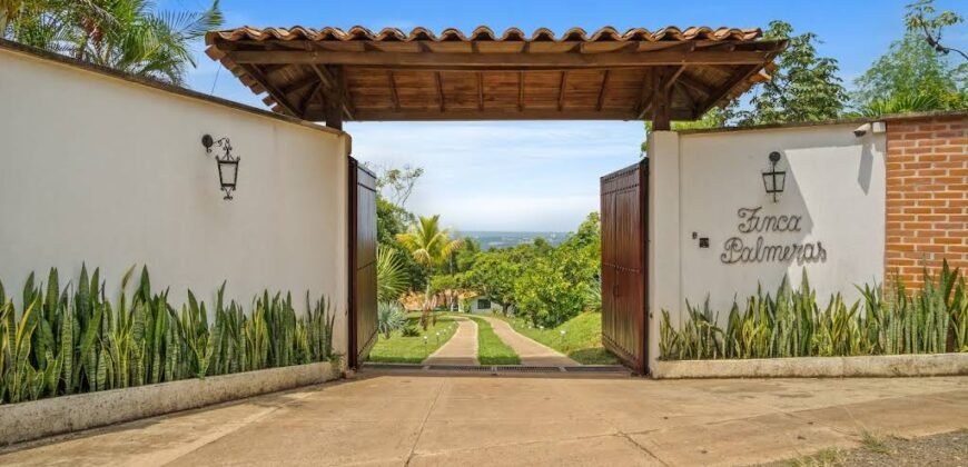 Finca Palmeras La Buitrera