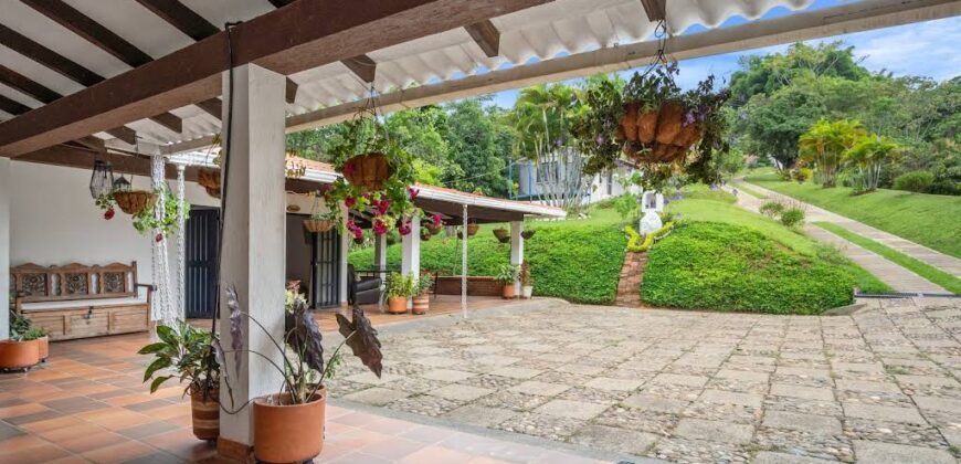 Finca Palmeras La Buitrera